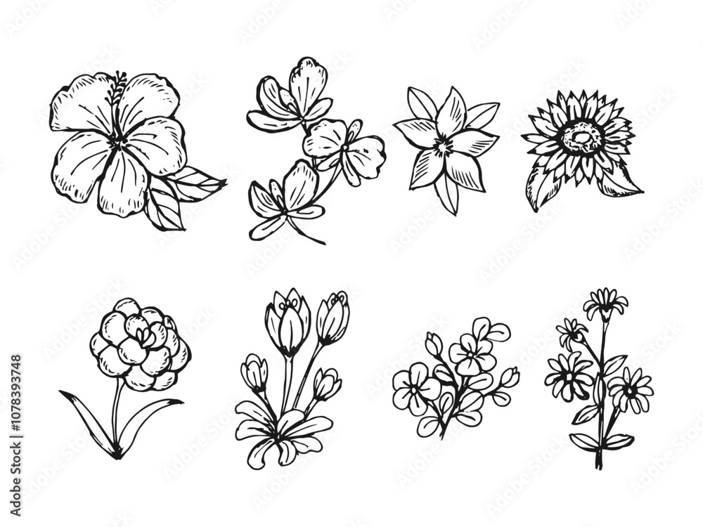 Set collection of flower plants and leaves hand-drawn cartoon vector. Set collection of flower plants and leaves hand-drawn cartoon vector.
