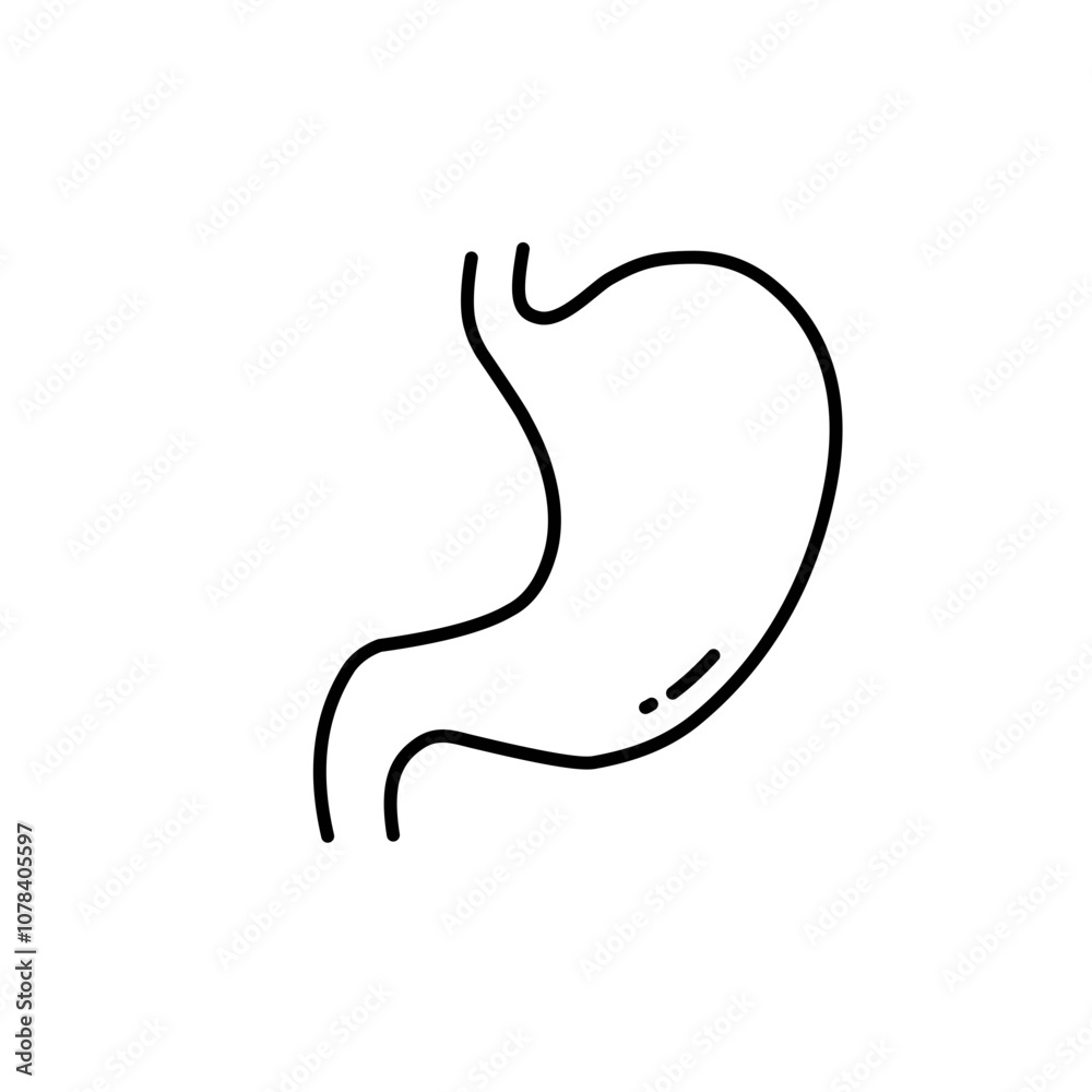 Stomach line icon Stomach line icon