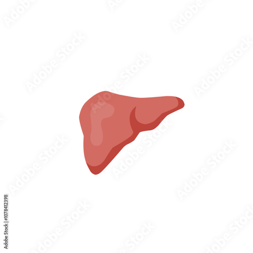 Human liver icon