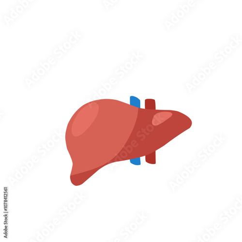 Human liver icon