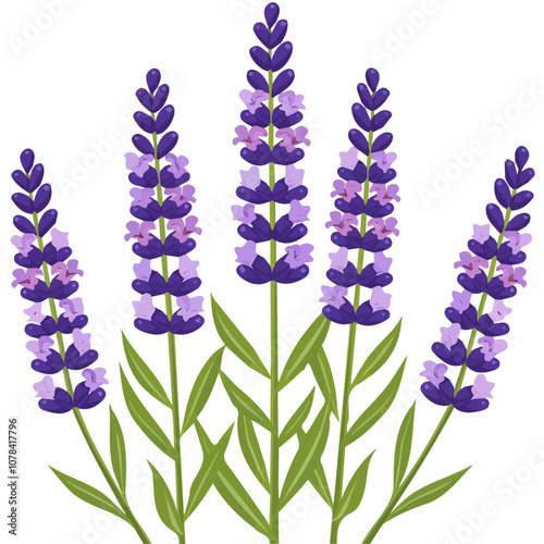 Simple flat 2D icon purple lavender branch isolated on transparent background, vector, flat design, animation design, vector, flat design, animation design, simple flat 2D icon, clipart