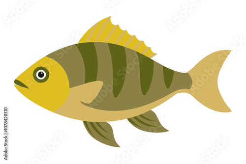 Colorful Perch Fish Graphic.