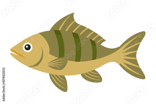 Colorful Perch Fish Graphic.