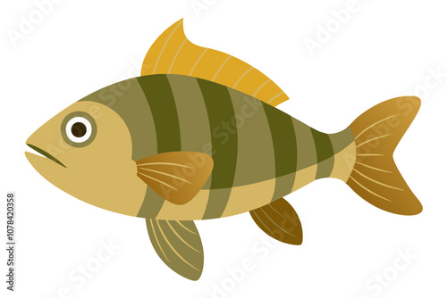 Colorful Perch Fish Graphic.