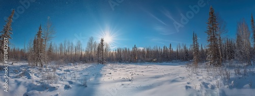 Serene Snow-Covered Forest Under a beautiful Sky