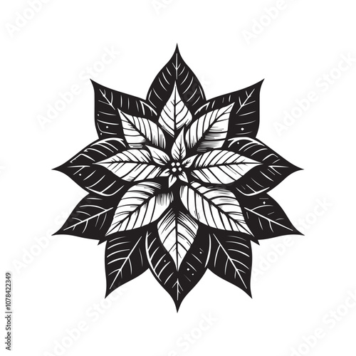 Classic Black and White Poinsettia Illustration for Festive Designs. This striking black and white illustration of a poinsettia captures the essence of holiday cheer.