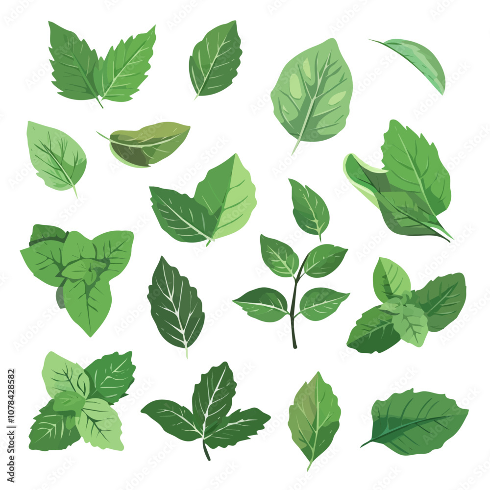 Simple flat 2D icon peppermint leaves set isolated on transparent background, vector, flat design, animation design, vector, flat design, animation design, simple flat 2D icon, clipart, mint