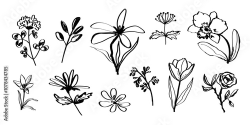 Flowers plants abstract hand drawn black brush stroke. Botanical set of sketches of flower plant silhouettes. Freehand primitive drawing of floral elements for art design.