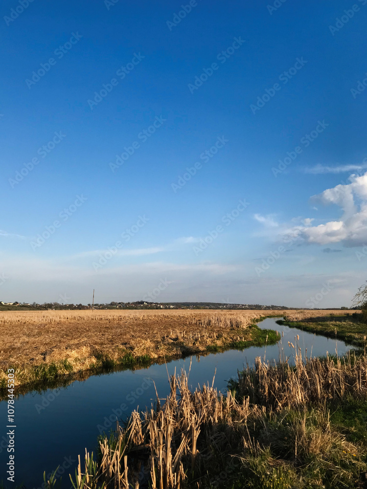 Fototapeta premium Tranquil rural landscape with clear blue sky and flowing stream