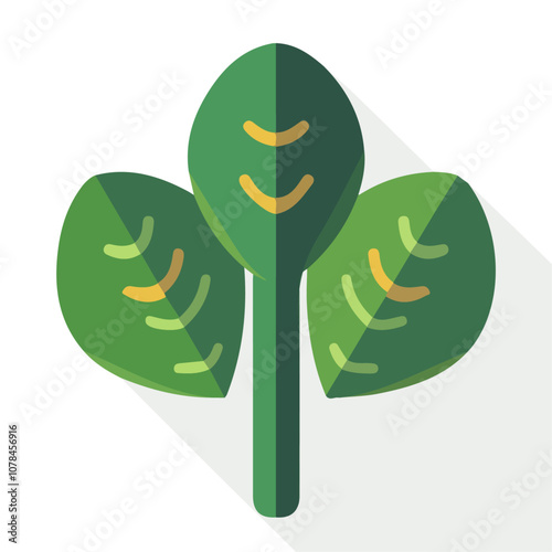 Simple flat 2D icon baby spinach isolated on transparent background, vector, flat design, animation design, vector, flat design, animation design, simple flat 2D icon, clipart