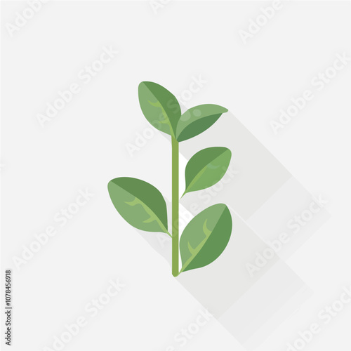 Simple flat 2D icon baby spinach isolated on transparent background, vector, flat design, animation design, vector, flat design, animation design, simple flat 2D icon, clipart