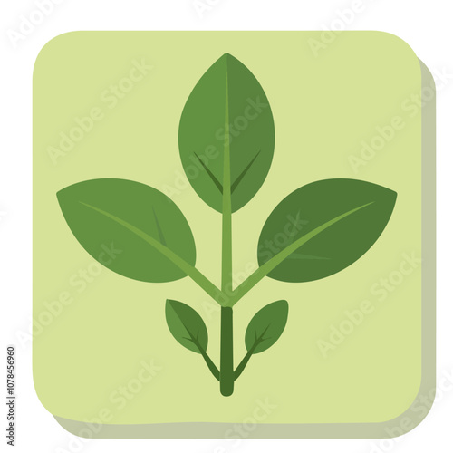 Simple flat 2D icon baby spinach isolated on transparent background, vector, flat design, animation design, vector, flat design, animation design, simple flat 2D icon, clipart