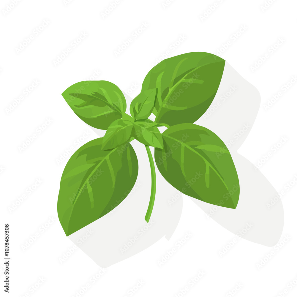 Simple flat 2D icon basil isolated on transparent background, vector, flat design, animation design, vector, flat design, animation design, simple flat 2D icon, clipart Simple flat 2D icon basil isolated on transparent background, vector, flat design, animation design, vector, flat design, animation design, simple flat 2D icon, clipart