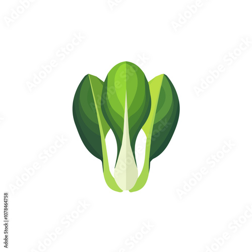 Simple flat 2D illustration of Bok choy isolated on a white background, vector 2D flat icon, 