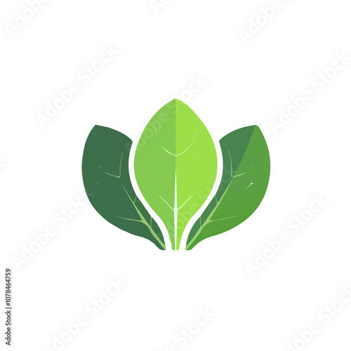 Simple flat 2D illustration of Bok choy isolated on a white background, vector 2D flat icon, flat design, animation design, vector, animation design