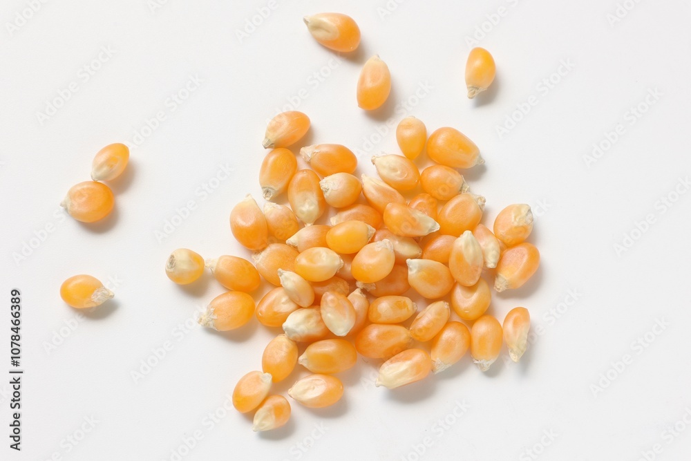 Fototapeta premium Corn