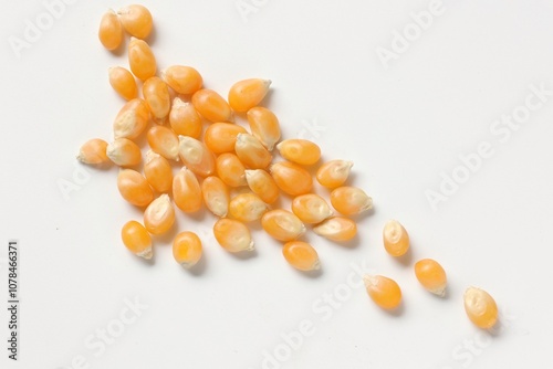 Corn seeds 