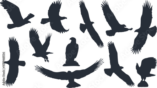 flying birds silhouette set in flat style, vector