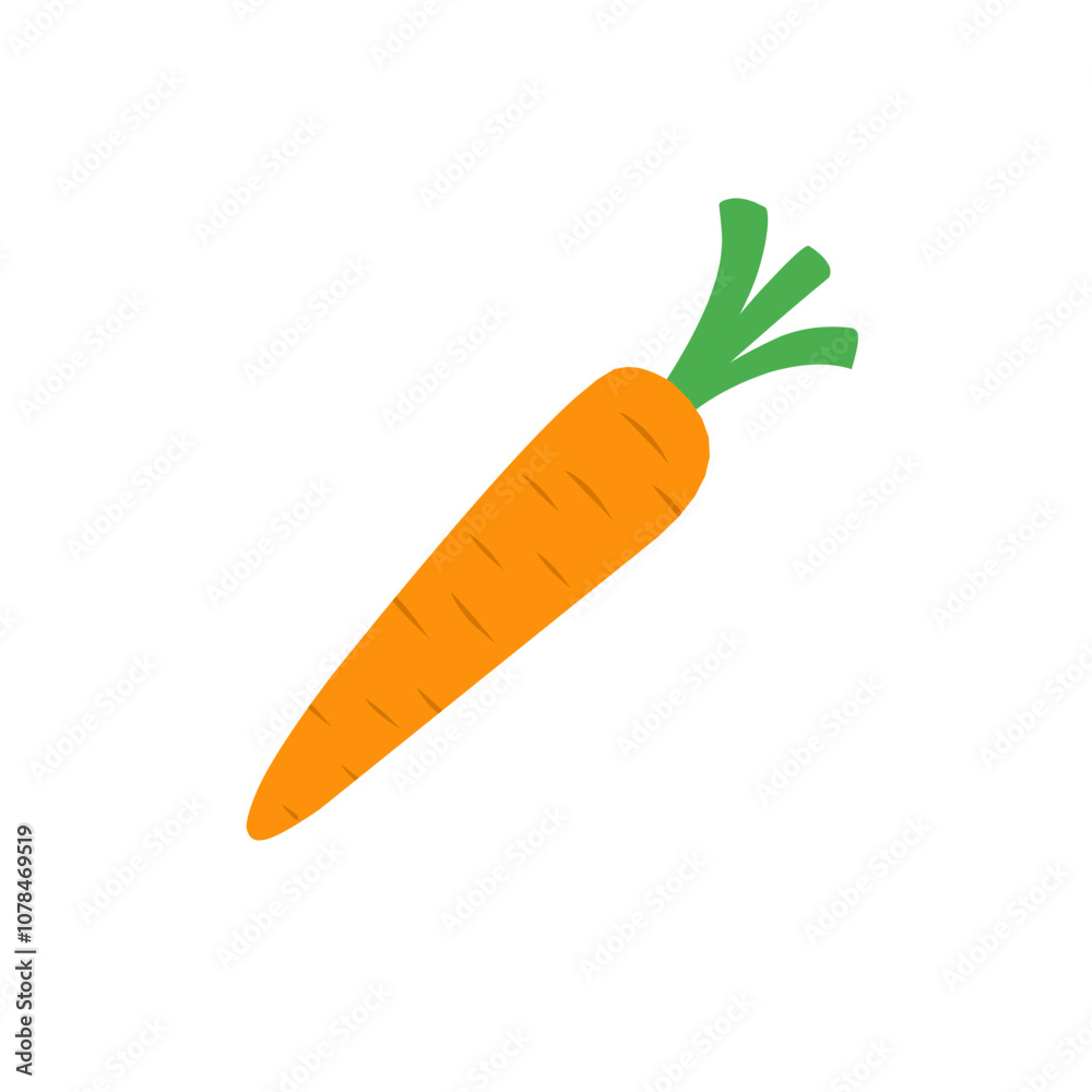 carrot vector carrot vector