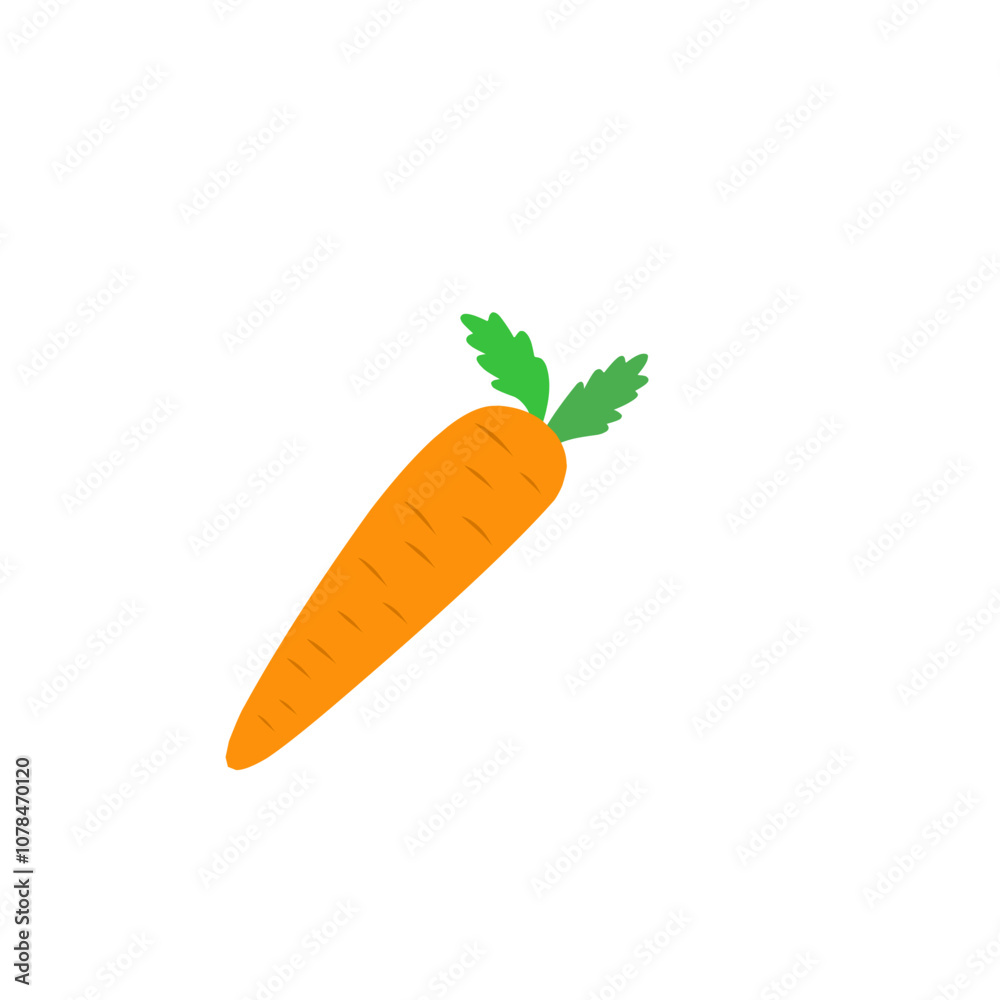 carrot vector carrot vector