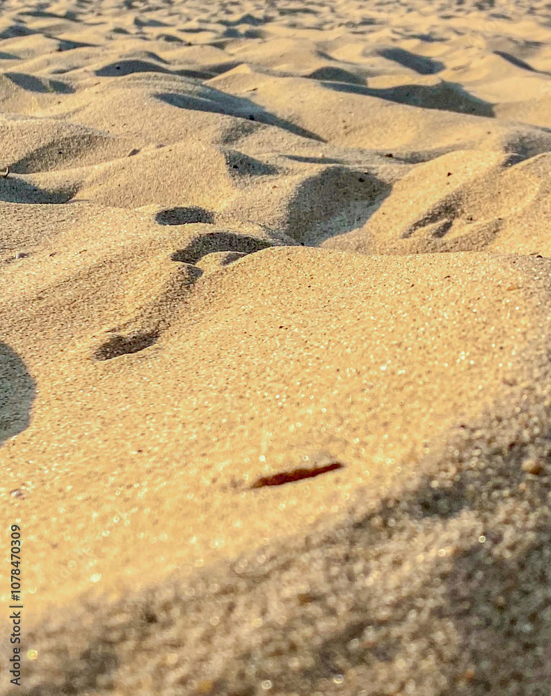 Sand on the beach in the evening light. Shallow depth of field Sand on the beach in the evening light. Shallow depth of field