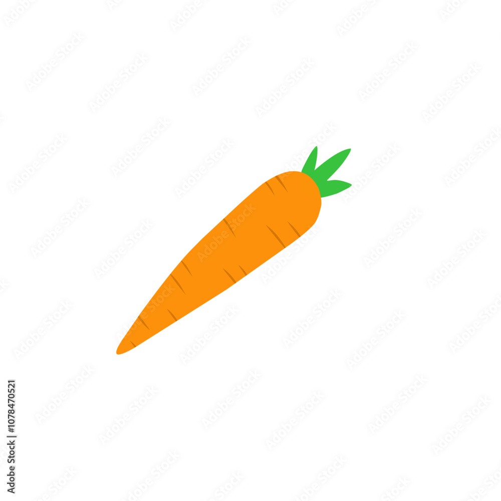 carrot vector carrot vector