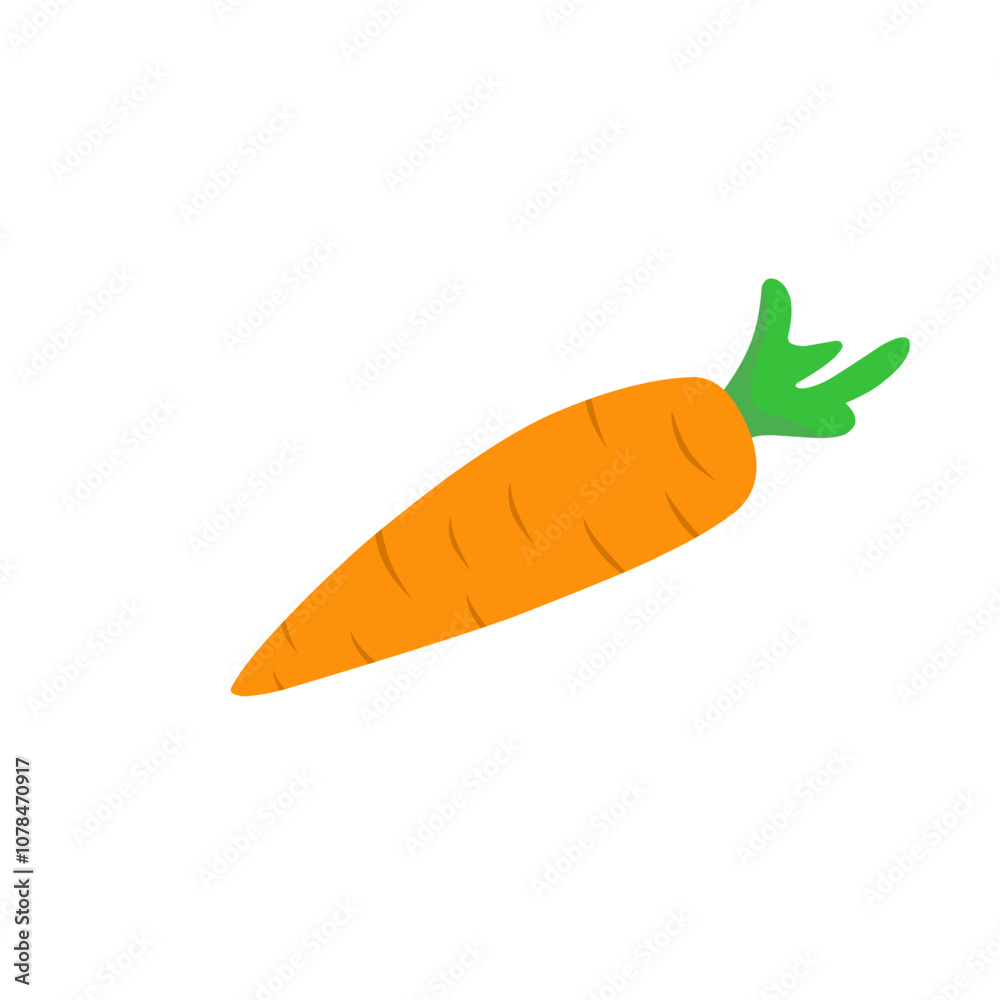 carrot vector carrot vector