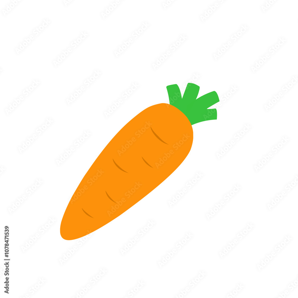 carrot vector carrot vector