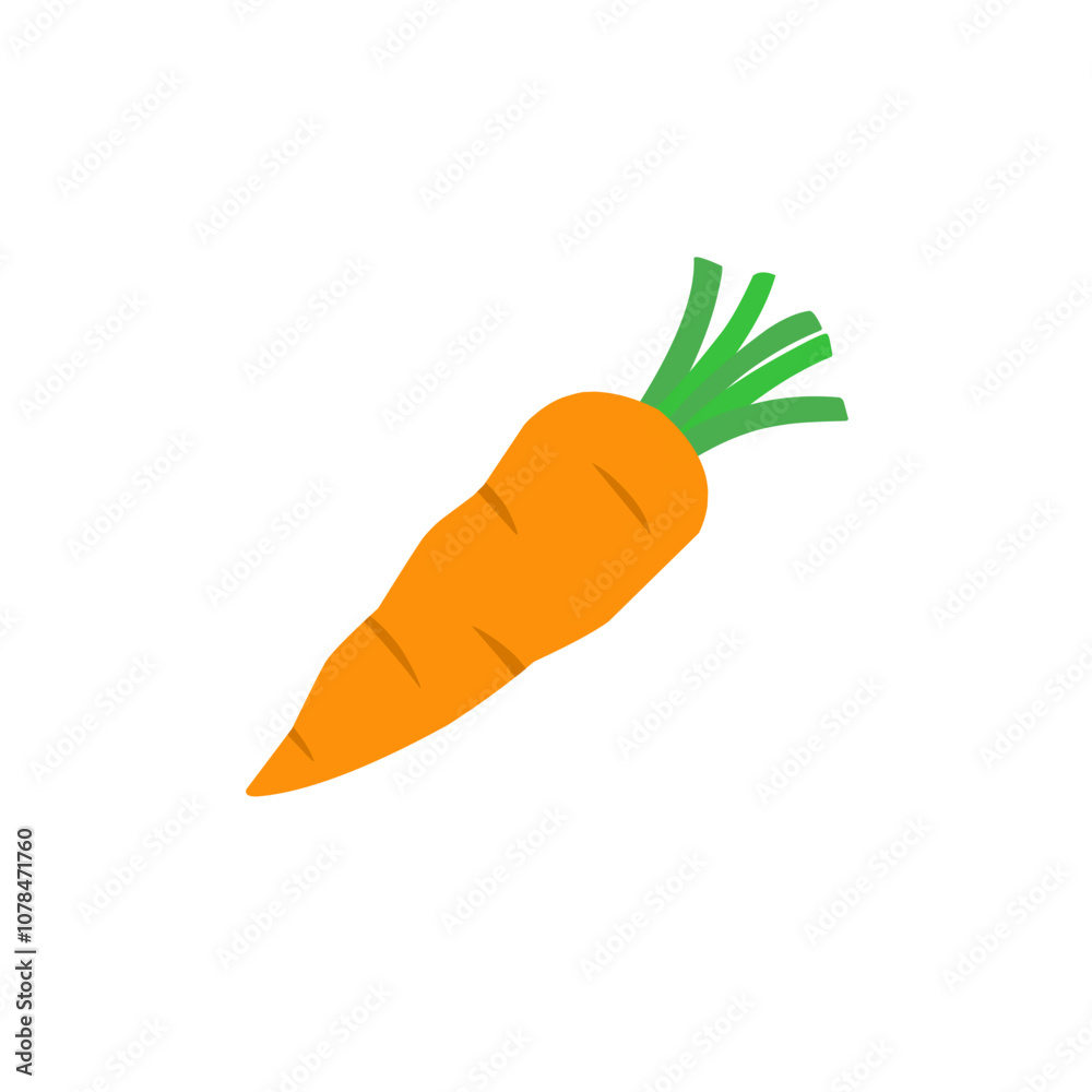 carrot vector carrot vector