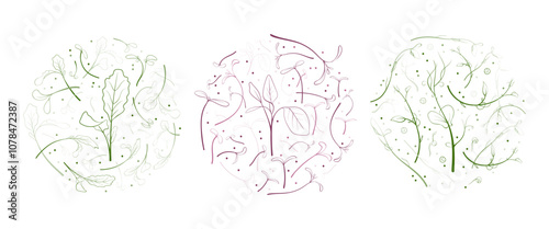 24.10_microgreen_