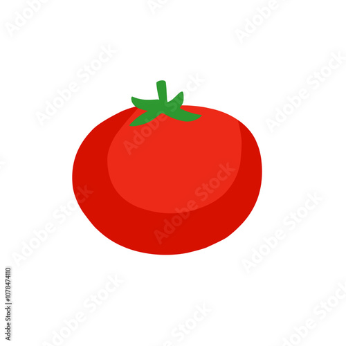 tomato vector 
