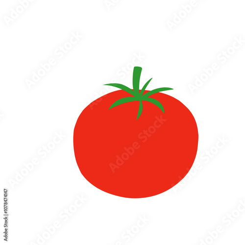tomato vector 