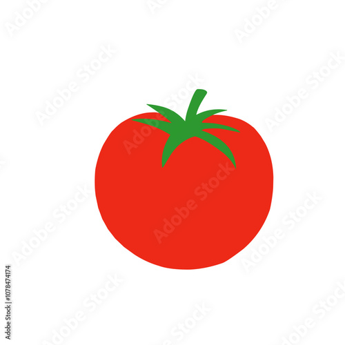 tomato vector 