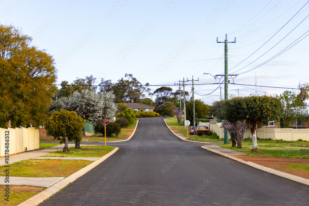 quiet street in small country town with power lines and power poles quiet street in small country town with power lines and power poles