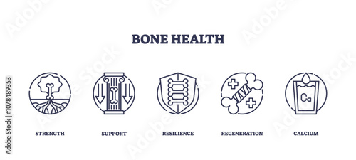 Bone health icons illustrate strength, support, and resilience, transparent background. Outline icons set