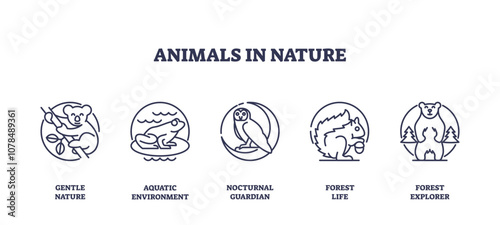 Animals in nature depicted as outline icons, includes koala, frog, owl, transparent background. Outline icons set.