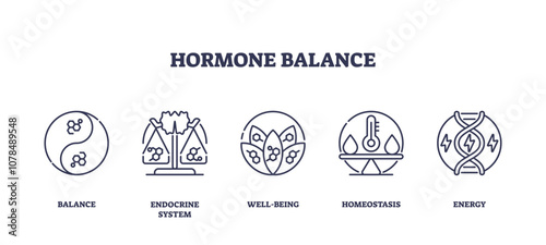 Hormone balance icons outline key concepts like balance, endocrine system, and energy, transparent background. Outline icons set.
