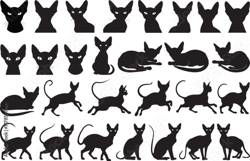 Sphynx cat silhouette vectors. Silhouettes of black sphynx cats vector illustrations.