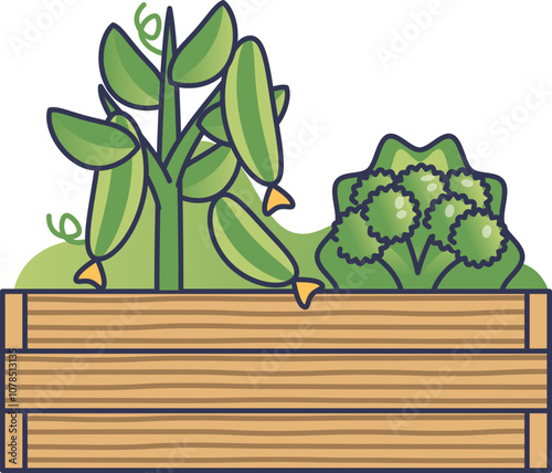 Wooden raised garden bed with green vegetables, symbolizing home gardening.