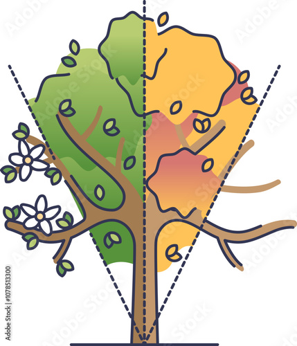 Illustration of a tree showing different seasons: spring, summer, autumn, and winter.