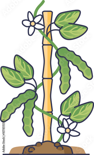 Illustration of a vertical gardening structure with legumes, bamboo support, and flowers.