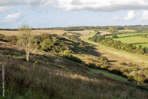 View of South Downs
