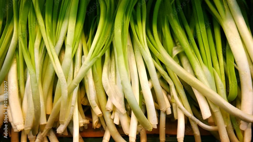 Close-up of many green onions in a market basket Close-up of many green onions in a market basket