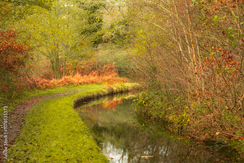 Autumn, fall tree and leaf colours along the Caldon canal at Froghall in Staffordshire.