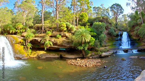 Waterfall in the Budderoo National Park, Nellies Glen in Australia photo