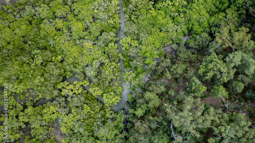 Dundonga Creek, Fraser Island, K'gari, aerial drone view, mangrove wetland landscape, nature natural environment national park, tourist travel destination, Queensland Australia