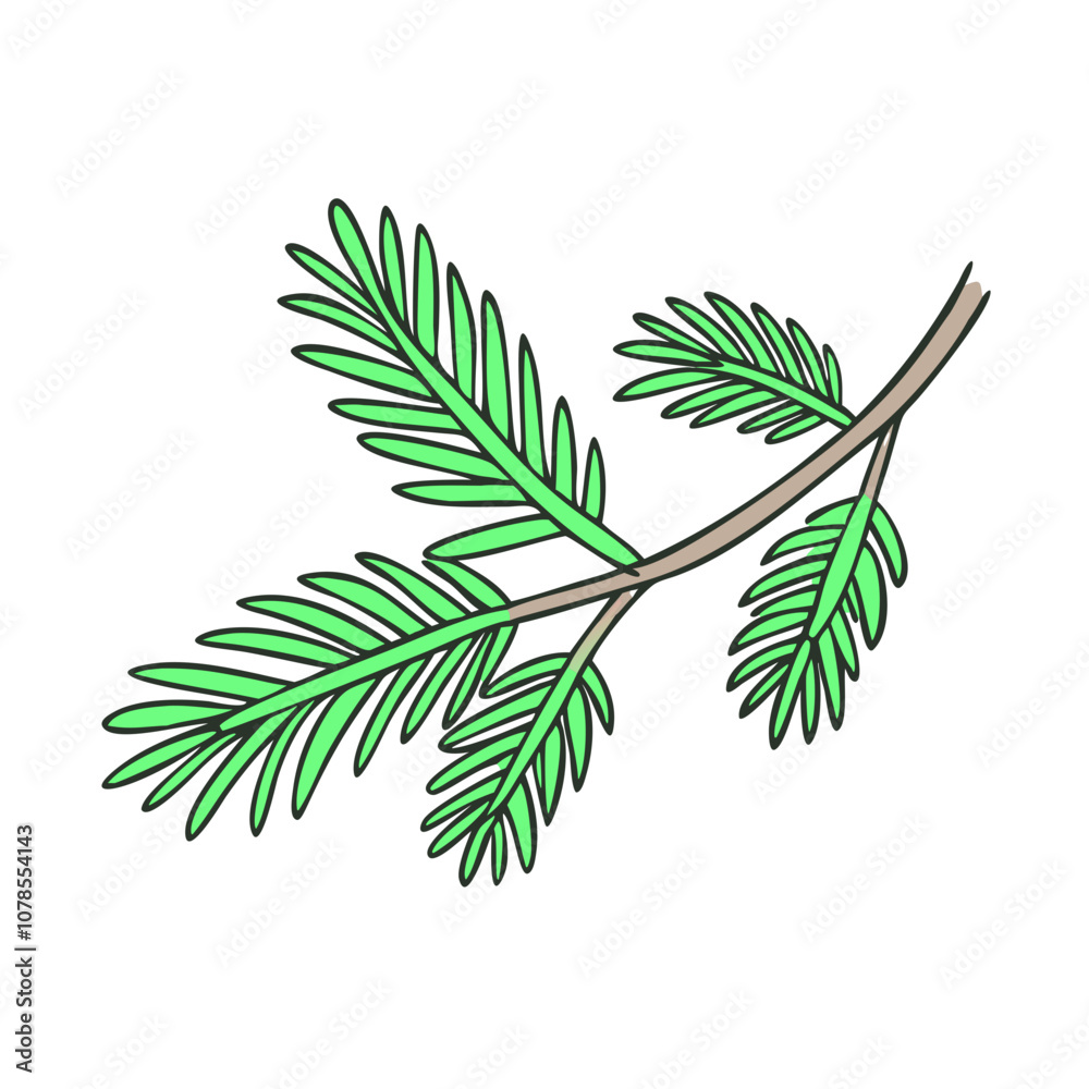evergreen branch vector art, flat illustration evergreen branch icon evergreen branch vector art, flat illustration evergreen branch icon