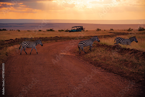 Canvas Print Zebra crossing