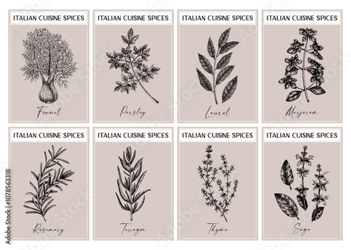 Italian spice labels set. Basil, mint, rosemary, parsley, sage, bay leaf, and fennel sketches. Herbs and spices hand-drawn vector illustration. Vintage print design. NOT AI generated