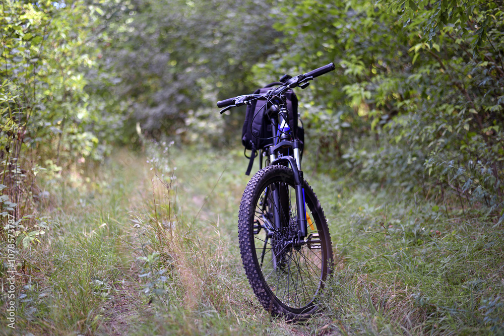 bike. transport. summer or autumn time. mountain bike. A mountain bike stands on a trail in a summer forest. cycling outdoor. concepts of sports, cycling, outdoor activities. spring park. front view bike. transport. summer or autumn time. mountain bike. A mountain bike stands on a trail in a summer forest. cycling outdoor. concepts of sports, cycling, outdoor activities. spring park. front view